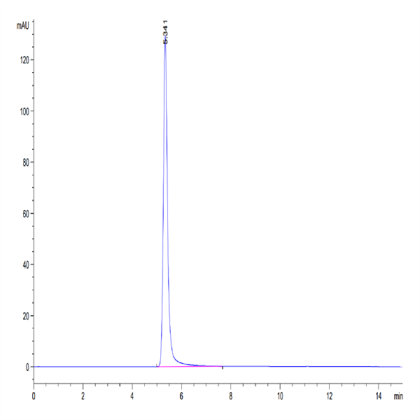 Human Claudin 6 Protein-VLP (CLD-HM006)