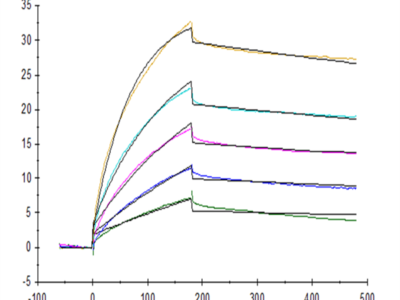 Biotinylated Human Claudin 6 Protein-VLP (CLD-HM006B)