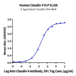 Human Claudin 4 Protein-VLP (CLD-HM104)