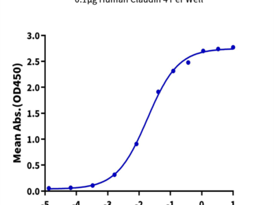 Human Claudin 4 Protein-VLP (CLD-HM104)