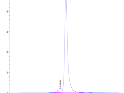 Human CLEC2D Protein (CLD-HM52D)