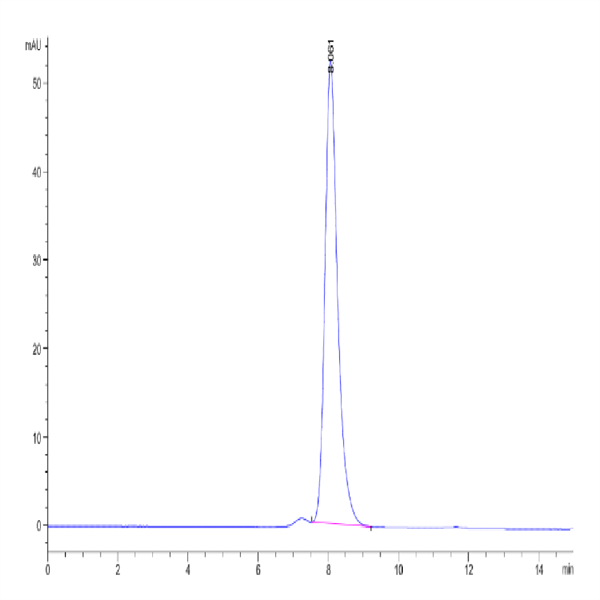 Biotinylated Human CLEC2D Protein (CLD-HM52DB) Biotinylated Human CLEC2D Protein (CLD-HM52DB)