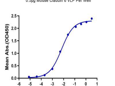 Mouse Claudin 6 Protein-VLP (CLD-MM006)