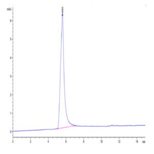 Mouse Claudin 6 Protein-VLP (CLD-MM006)