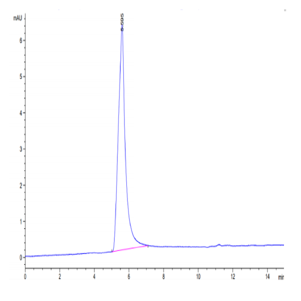 Mouse Claudin 6 Protein-VLP (CLD-MM006)