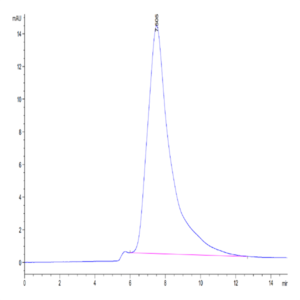 Human CLEC10A Protein (CLE-HM10B)