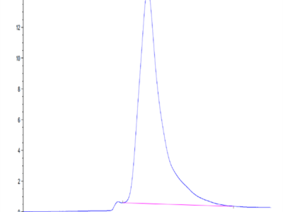 Human CLEC10A Protein (CLE-HM10B)