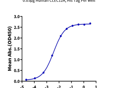 Human CLEC12A/MICL/CLL-1 Protein (CLE-HM12A)