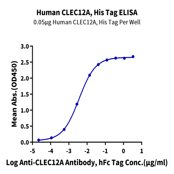 Human CLEC12A/MICL/CLL-1 Protein (CLE-HM12A) Human CLEC12A/MICL/CLL-1 Protein (CLE-HM12A)