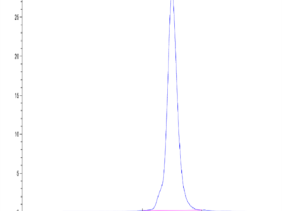 FITC-Labeled Human CLEC12A/MICL/CLL-1 Protein (CLE-HM12AF)