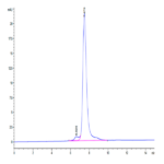 Human CLEC14A Protein (CLE-HM14A)