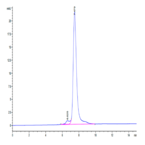Human CLEC14A Protein (CLE-HM14A)