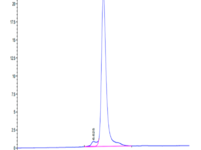 Human CLEC14A Protein (CLE-HM14A)