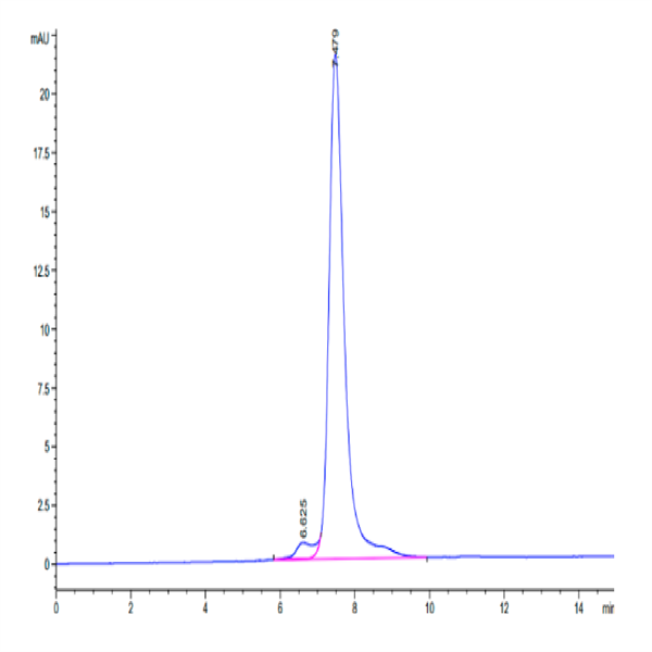 Human CLEC14A Protein (CLE-HM14A) Human CLEC14A Protein (CLE-HM14A)