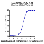 Human CLEC12A/MICL/CLL-1 Protein (CLE-HM22A)