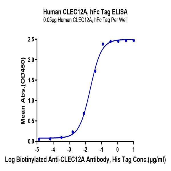 Human CLEC12A/MICL/CLL-1 Protein (CLE-HM22A) Human CLEC12A/MICL/CLL-1 Protein (CLE-HM22A)