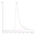 Human CLEC12A/MICL/CLL-1 Protein (CLE-HM22A)