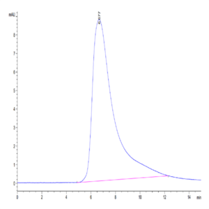 Human CLEC12A/MICL/CLL-1 Protein (CLE-HM22A)