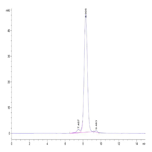 Human CLEC2B Protein (CLE-HM22B) Human CLEC2B Protein (CLE-HM22B)