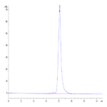 Human CLEC4A/DCIR Protein (CLE-HM24A)