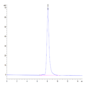 Human CLEC4A/DCIR Protein (CLE-HM24A)