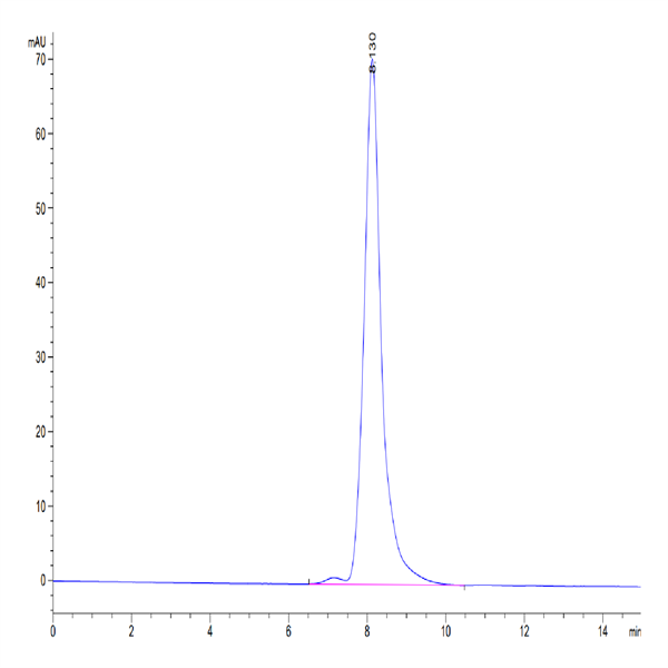 Human CLEC4A/DCIR Protein (CLE-HM24A)