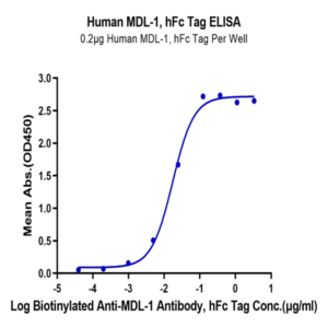 Human MDL-1/CLEC5A Protein (CLE-HM25A)