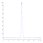 Human MDL-1/CLEC5A Protein (CLE-HM25A)