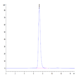 Human MDL-1/CLEC5A Protein (CLE-HM25A)