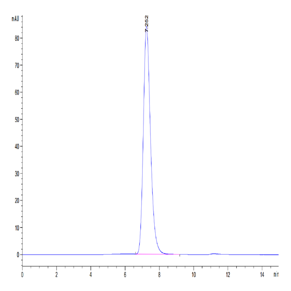 Human MDL-1/CLEC5A Protein (CLE-HM25A)