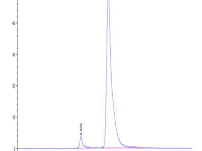 Human CLEC7A Protein (CLE-HM27A)