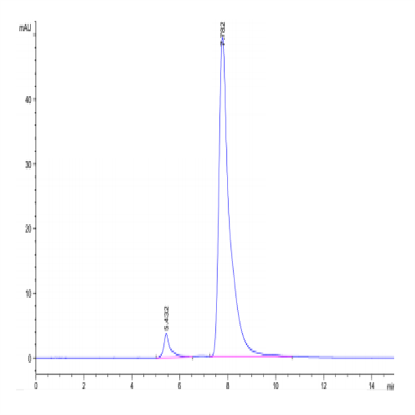 Human CLEC7A Protein (CLE-HM27A) Human CLEC7A Protein (CLE-HM27A)