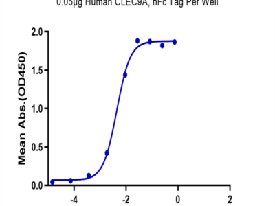 Human CLEC9A Protein (CLE-HM29A)