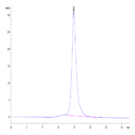 Human CLEC9A Protein (CLE-HM29A)