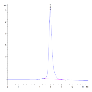 Human CLEC9A Protein (CLE-HM29A)