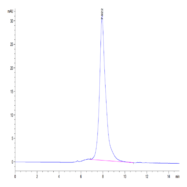 Human CLEC9A Protein (CLE-HM29A)