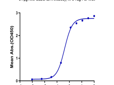 Biotinylated Human CLEC12A/MICL/CLL-1 Protein (CLE-HM42AB)