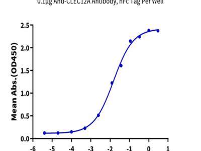 Biotinylated Human CLEC12A/MICL/CLL-1 Protein (CLE-HM52AB)