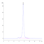 Biotinylated Human CLEC12A/MICL/CLL-1 Protein (CLE-HM52AB)