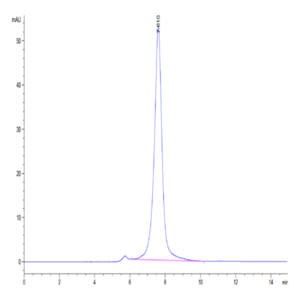 Biotinylated Human CLEC12A/MICL/CLL-1 Protein (CLE-HM52AB)