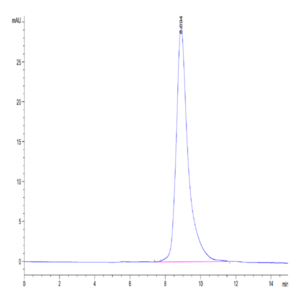 Mouse CLEC10A Protein (CLE-MM10A)