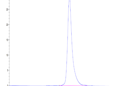 Mouse CLEC10A Protein (CLE-MM10A)