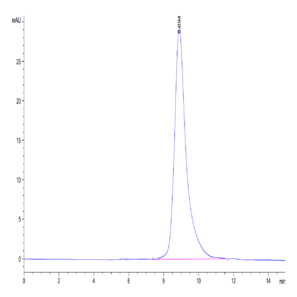 Mouse CLEC10A Protein (CLE-MM10A) Mouse CLEC10A Protein (CLE-MM10A)