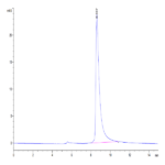 Mouse CLEC12A/MICL/CLL-1 Protein (CLE-MM12A)