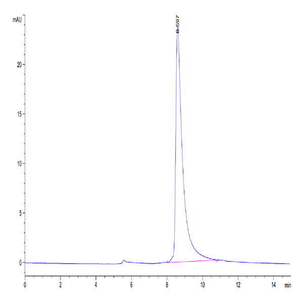 Mouse CLEC12A/MICL/CLL-1 Protein (CLE-MM12A)