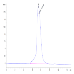 Mouse CLEC-1 Protein (CLE-MM201)
