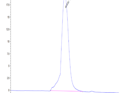 Mouse CLEC-1 Protein (CLE-MM201)