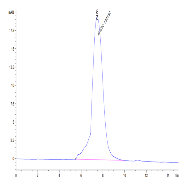 Mouse CLEC-1 Protein (CLE-MM201) Mouse CLEC-1 Protein (CLE-MM201)