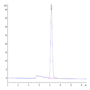 Mouse CLEC4A/DCIR Protein (CLE-MM24A)