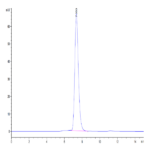 Mouse MDL-1/CLEC5A Protein (CLE-MM25A)